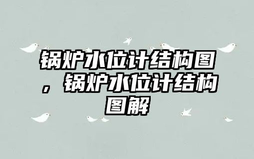 鍋爐水位計結(jié)構(gòu)圖，鍋爐水位計結(jié)構(gòu)圖解