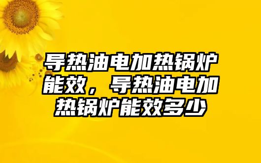 導(dǎo)熱油電加熱鍋爐能效，導(dǎo)熱油電加熱鍋爐能效多少