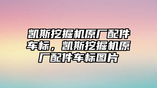 凱斯挖掘機(jī)原廠配件車標(biāo)，凱斯挖掘機(jī)原廠配件車標(biāo)圖片