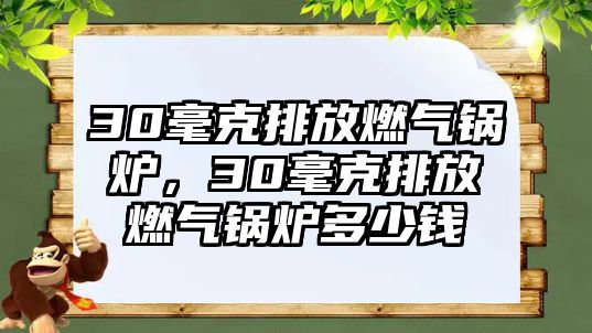 30毫克排放燃?xì)忮仩t，30毫克排放燃?xì)忮仩t多少錢