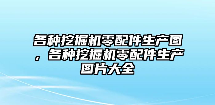 各種挖掘機(jī)零配件生產(chǎn)圖，各種挖掘機(jī)零配件生產(chǎn)圖片大全