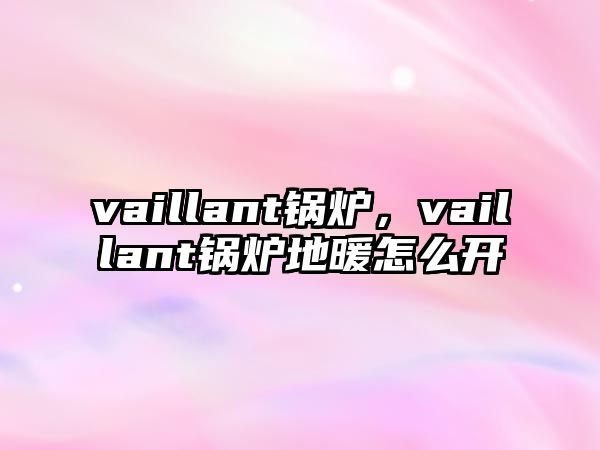 vaillant鍋爐，vaillant鍋爐地暖怎么開(kāi)