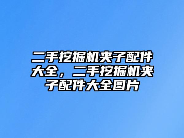 二手挖掘機(jī)夾子配件大全，二手挖掘機(jī)夾子配件大全圖片