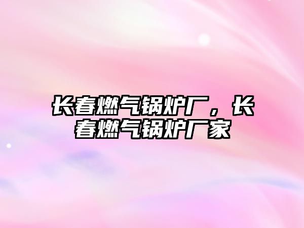 長春燃?xì)忮仩t廠，長春燃?xì)忮仩t廠家