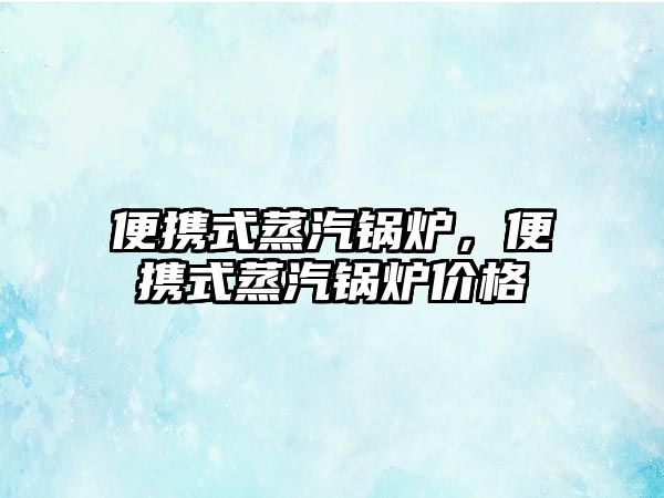 便攜式蒸汽鍋爐，便攜式蒸汽鍋爐價格