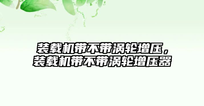 裝載機帶不帶渦輪增壓，裝載機帶不帶渦輪增壓器