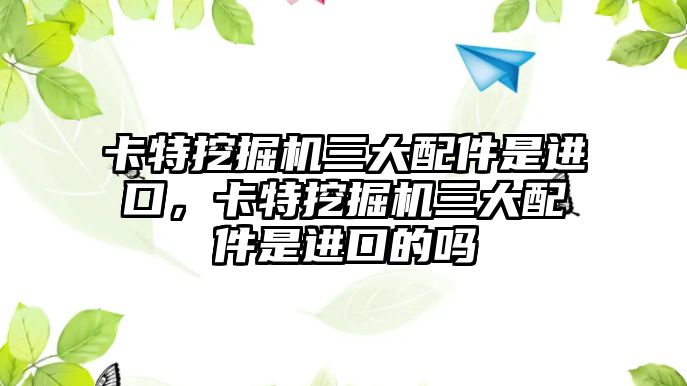 卡特挖掘機三大配件是進口，卡特挖掘機三大配件是進口的嗎