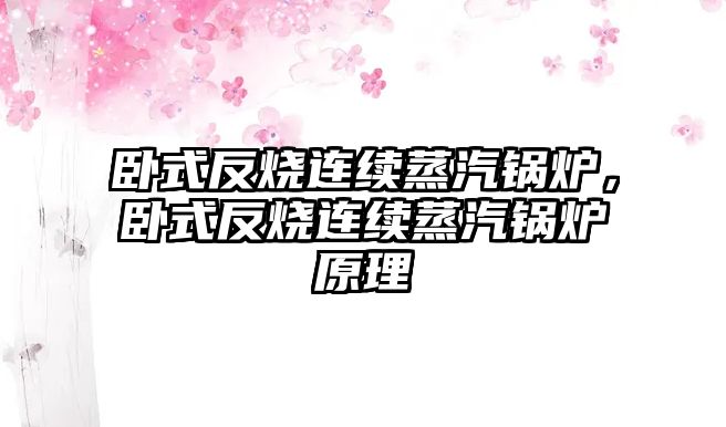 臥式反燒連續(xù)蒸汽鍋爐，臥式反燒連續(xù)蒸汽鍋爐原理