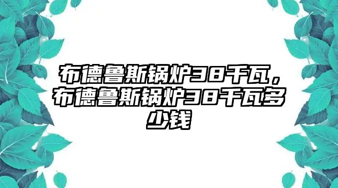 布德魯斯鍋爐38千瓦，布德魯斯鍋爐38千瓦多少錢