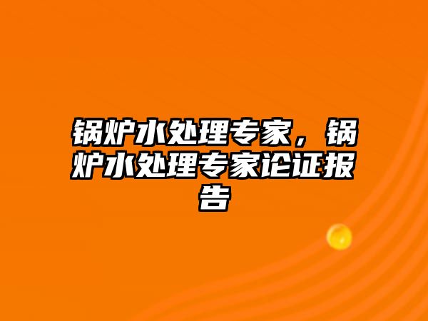 鍋爐水處理專家，鍋爐水處理專家論證報(bào)告