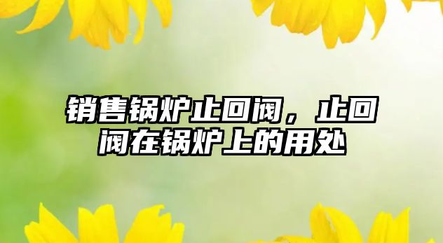 銷售鍋爐止回閥，止回閥在鍋爐上的用處