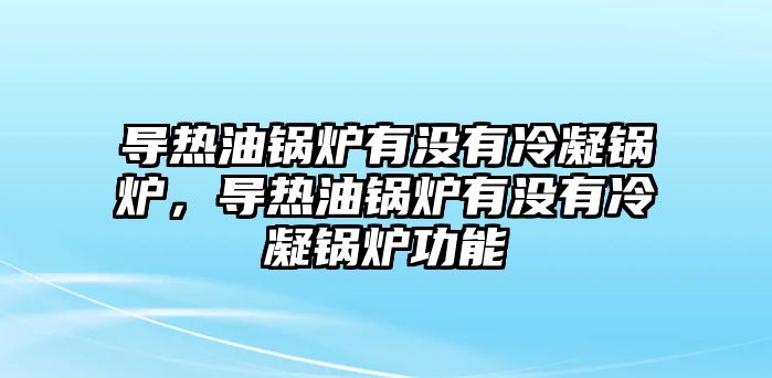 導(dǎo)熱油鍋爐有沒有冷凝鍋爐，導(dǎo)熱油鍋爐有沒有冷凝鍋爐功能