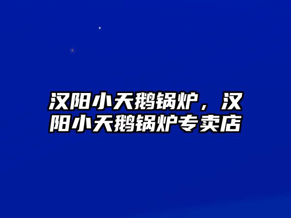 漢陽小天鵝鍋爐，漢陽小天鵝鍋爐專賣店