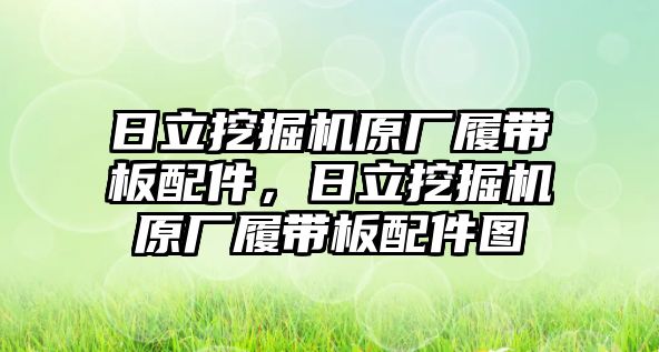 日立挖掘機(jī)原廠履帶板配件，日立挖掘機(jī)原廠履帶板配件圖