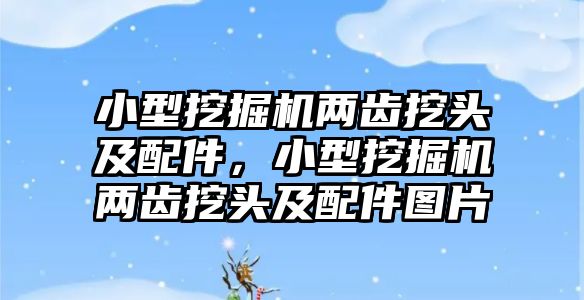 小型挖掘機兩齒挖頭及配件，小型挖掘機兩齒挖頭及配件圖片