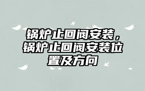 鍋爐止回閥安裝，鍋爐止回閥安裝位置及方向