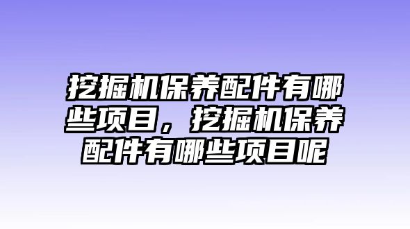 挖掘機(jī)保養(yǎng)配件有哪些項(xiàng)目，挖掘機(jī)保養(yǎng)配件有哪些項(xiàng)目呢