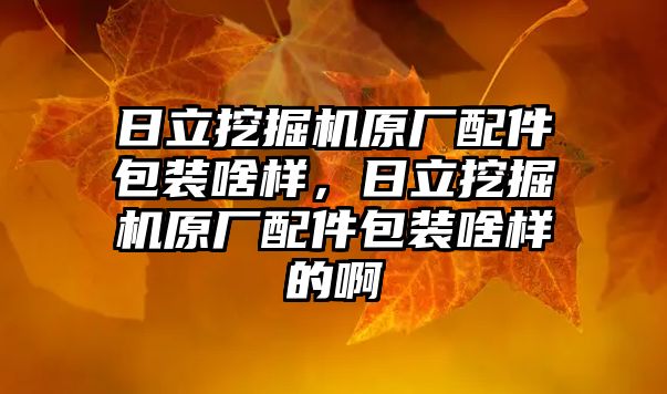 日立挖掘機原廠配件包裝啥樣，日立挖掘機原廠配件包裝啥樣的啊