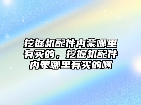 挖掘機配件內(nèi)蒙哪里有買的，挖掘機配件內(nèi)蒙哪里有買的啊