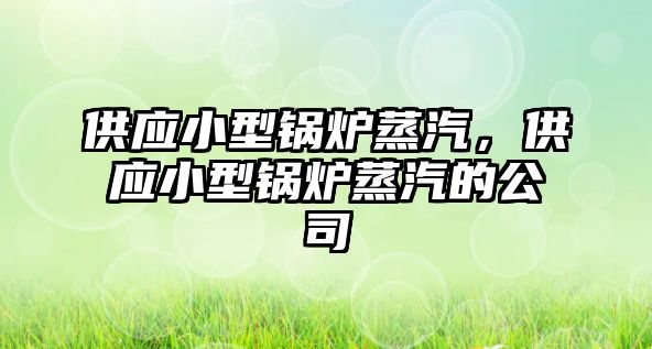 供應(yīng)小型鍋爐蒸汽，供應(yīng)小型鍋爐蒸汽的公司