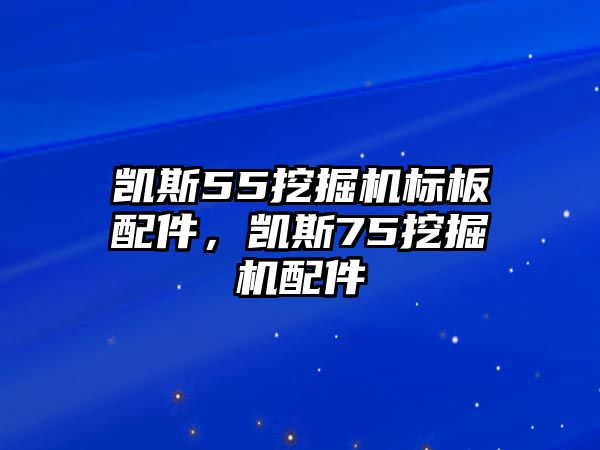 凱斯55挖掘機(jī)標(biāo)板配件，凱斯75挖掘機(jī)配件