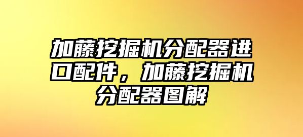 加藤挖掘機(jī)分配器進(jìn)口配件，加藤挖掘機(jī)分配器圖解