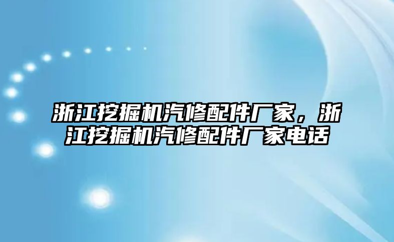 浙江挖掘機汽修配件廠家，浙江挖掘機汽修配件廠家電話