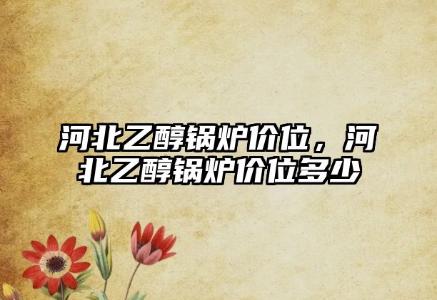 河北乙醇鍋爐價(jià)位，河北乙醇鍋爐價(jià)位多少