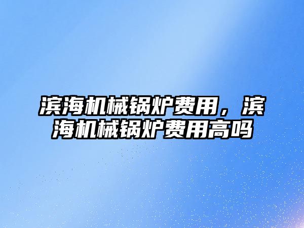 濱海機械鍋爐費用，濱海機械鍋爐費用高嗎