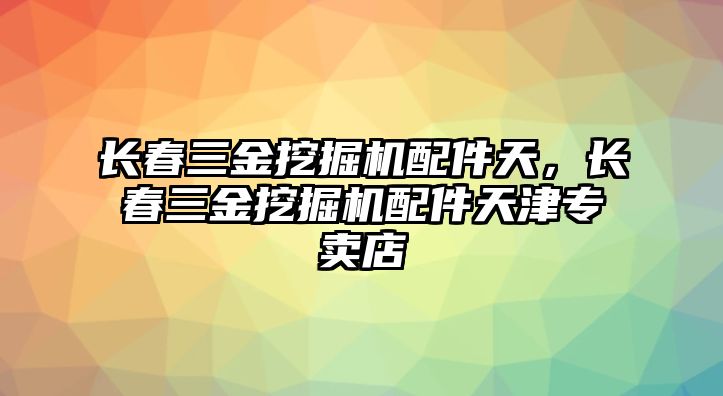 長春三金挖掘機配件天，長春三金挖掘機配件天津?qū)Ｙu店