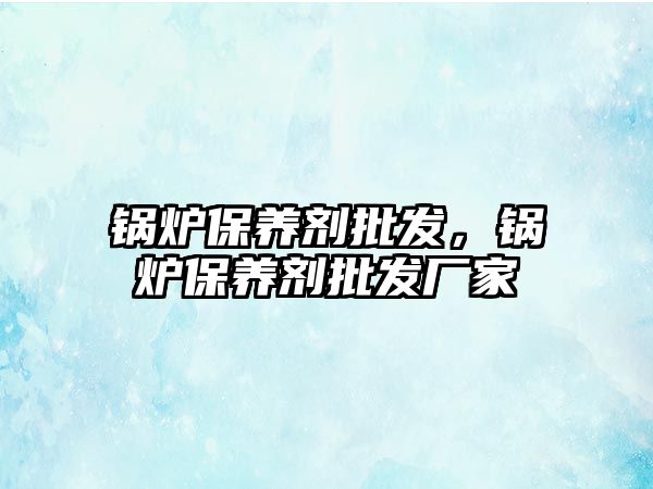 鍋爐保養(yǎng)劑批發(fā)，鍋爐保養(yǎng)劑批發(fā)廠家