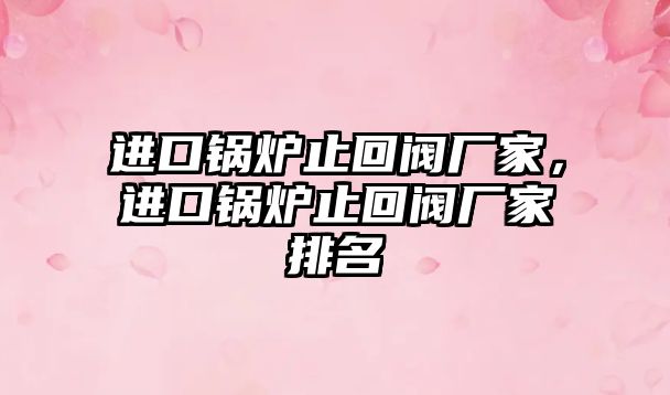 進(jìn)口鍋爐止回閥廠家，進(jìn)口鍋爐止回閥廠家排名