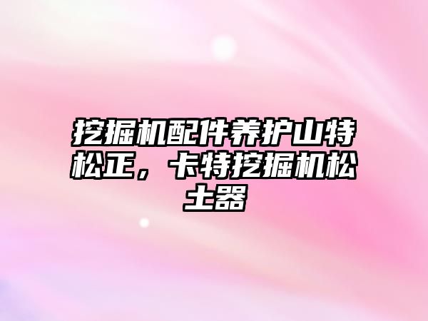 挖掘機配件養(yǎng)護山特松正，卡特挖掘機松土器