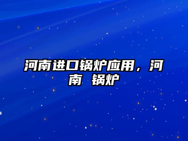 河南進(jìn)口鍋爐應(yīng)用，河南 鍋爐