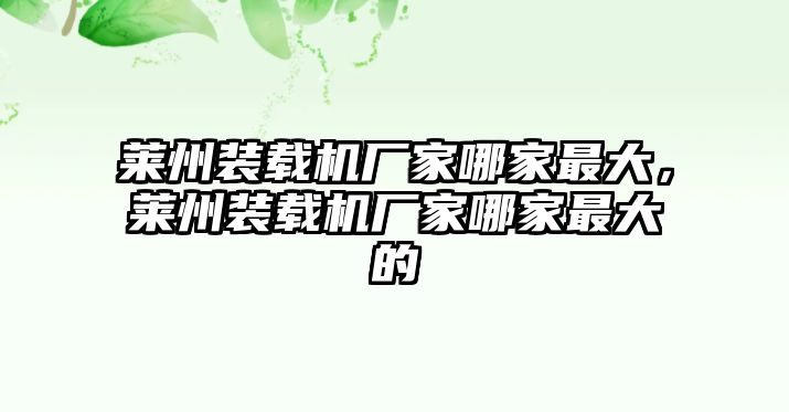 萊州裝載機廠家哪家最大，萊州裝載機廠家哪家最大的