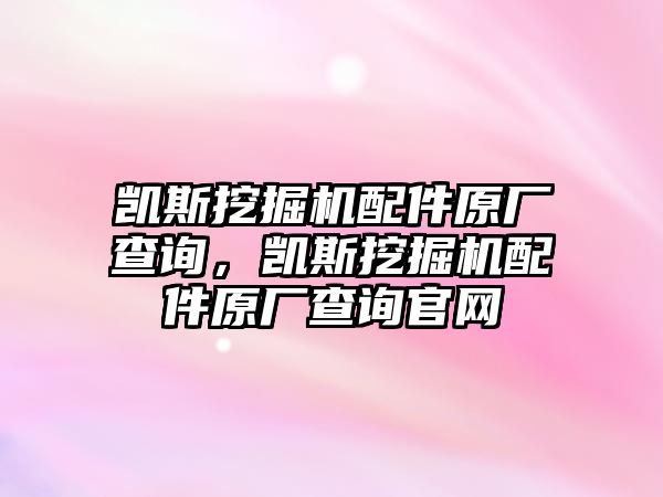 凱斯挖掘機(jī)配件原廠查詢，凱斯挖掘機(jī)配件原廠查詢官網(wǎng)