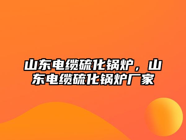 山東電纜硫化鍋爐，山東電纜硫化鍋爐廠家