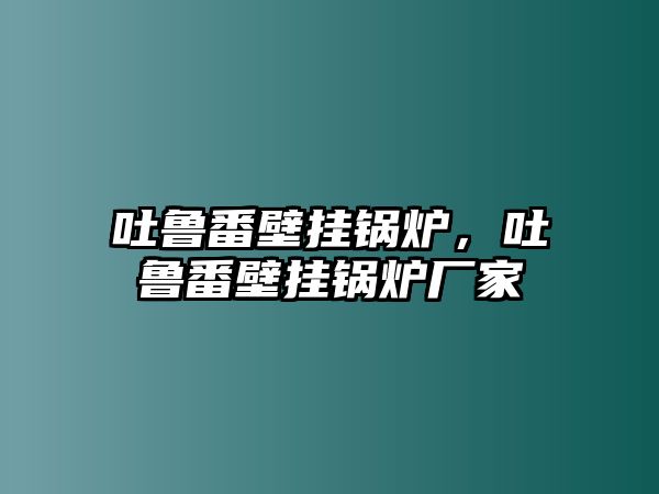 吐魯番壁掛鍋爐，吐魯番壁掛鍋爐廠家