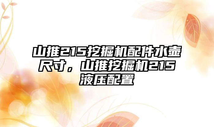 山推215挖掘機配件水壺尺寸，山推挖掘機215液壓配置