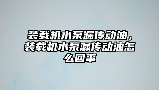 裝載機水泵漏傳動油，裝載機水泵漏傳動油怎么回事