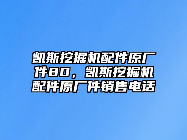 凱斯挖掘機(jī)配件原廠件80，凱斯挖掘機(jī)配件原廠件銷(xiāo)售電話(huà)