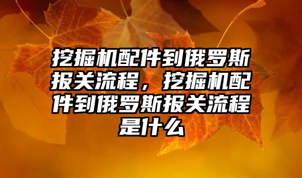 挖掘機配件到俄羅斯報關(guān)流程，挖掘機配件到俄羅斯報關(guān)流程是什么