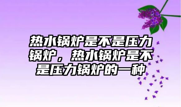 熱水鍋爐是不是壓力鍋爐，熱水鍋爐是不是壓力鍋爐的一種