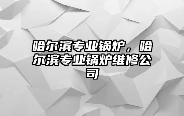 哈爾濱專業(yè)鍋爐，哈爾濱專業(yè)鍋爐維修公司