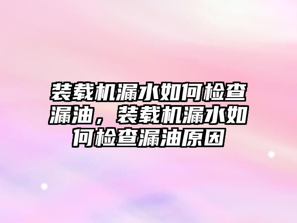 裝載機(jī)漏水如何檢查漏油，裝載機(jī)漏水如何檢查漏油原因