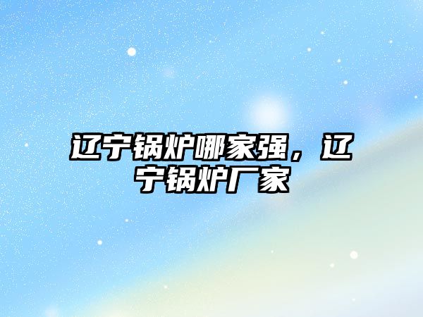 遼寧鍋爐哪家強(qiáng)，遼寧鍋爐廠家