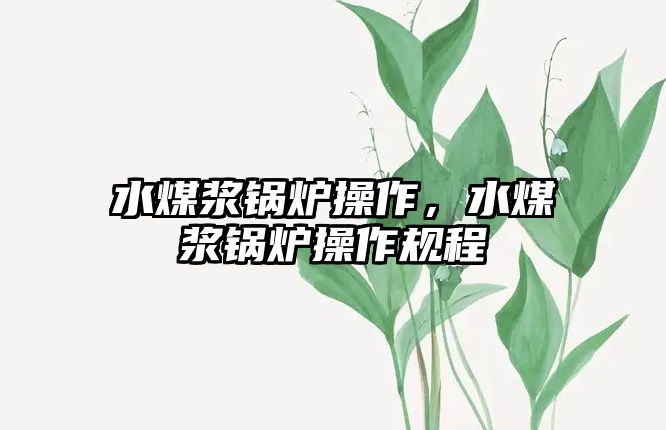 水煤漿鍋爐操作，水煤漿鍋爐操作規(guī)程