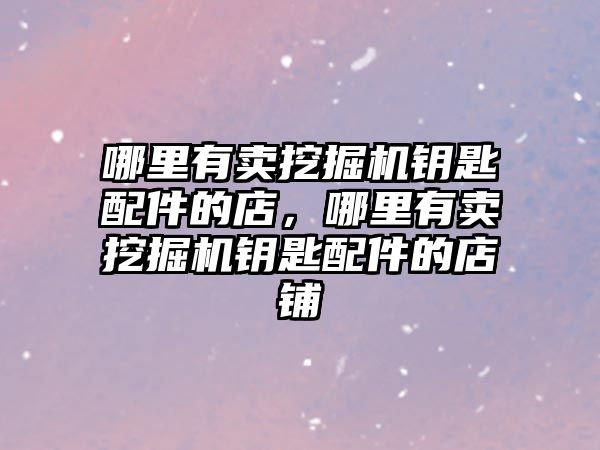 哪里有賣挖掘機鑰匙配件的店，哪里有賣挖掘機鑰匙配件的店鋪