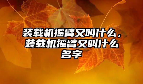 裝載機搖臂又叫什么，裝載機搖臂又叫什么名字