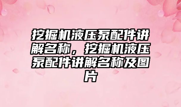 挖掘機液壓泵配件講解名稱，挖掘機液壓泵配件講解名稱及圖片